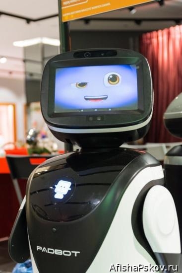 Выставка роботов в Пскове 2022