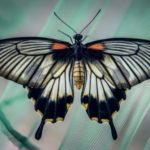 Выставка живых бабочек работает в Пскове