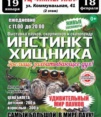выставка пауков в Пскове