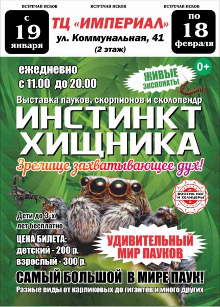 выставка пауков в Пскове